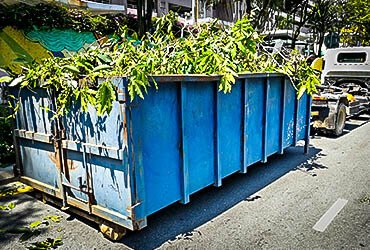 A large blue dumpster filled with tree branches and leaves from a landscaping or tree removal project