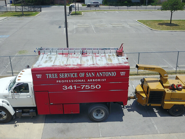 San Antonio Tree Services Gallery | Tree Service of San Antonio