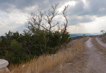 Rural dirt road winding through a hilly landscape with dry grass and trees, under a cloudy sky